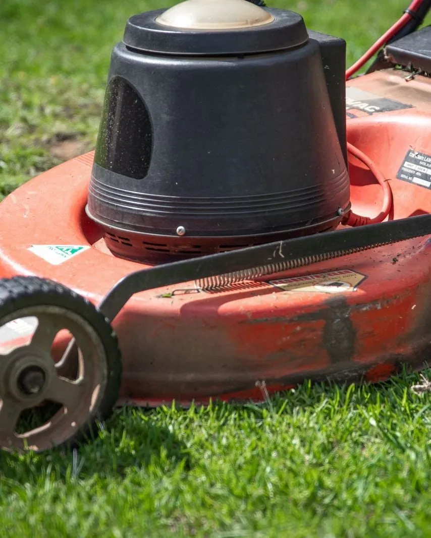 Walk-behind lawn mower on a freshly cut lawn